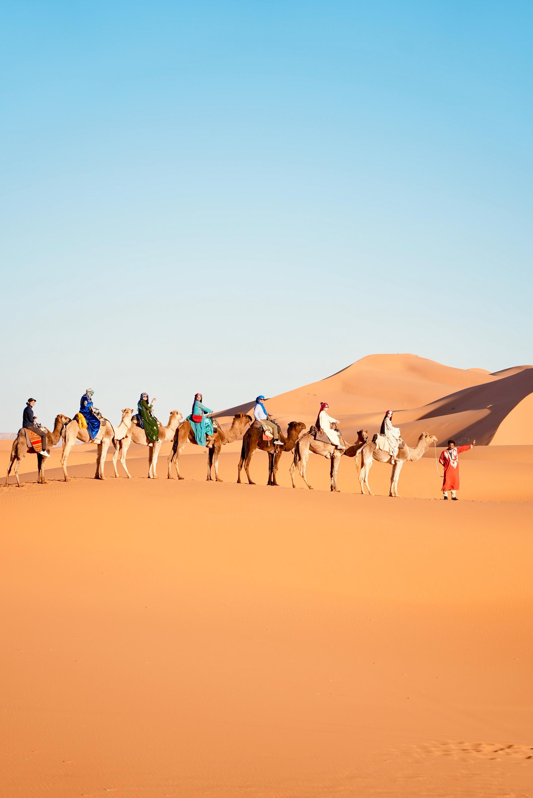 Camel Trekking in Merzouga, Sahara Desert